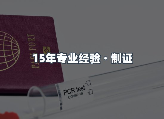 证件页面制证展示